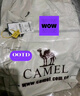 骆驼（CAMEL）硬壳冲锋衣女单层外套24新款防水防风衣登山服男 实拍图