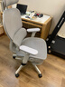 网易严选小蛮腰S9pro有搁脚灰色 人体工学电脑椅办公椅电竞老板会议学习椅 实拍图
