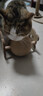 HELLOJOY逗猫咪玩具自嗨解闷猫抓板幼猫爪板小猫抓球耐抓不掉屑耐磨猫爬架 实拍图