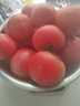 京鲜生 山东普罗旺斯番茄 净重4.5斤 单果125g+ 沙瓤西红柿 源头直发 实拍图