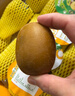 佳沛（zespri）新西兰 阳光金奇异果12粒礼盒特大果单果约122-146g 猕猴桃 水果 实拍图