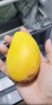 京鲜生海南金煌芒芒果 2.5kg装 单果300g以上 新鲜水果 实拍图