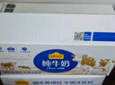 认养一头牛零乳糖牛奶3.6g蛋白 200ml*12盒 高钙低GI 无乳糖牛奶 京东自营 实拍图