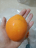 秭归脐橙当季产地直发橙子新鲜多汁整箱60-65mm 带箱4斤60-65mm 实拍图