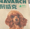 耐威克 贵宾泰迪专用狗粮狗干粮小型犬中大型犬成幼犬牛肉味10kg 实拍图