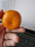京鲜生 福建耙耙柑 净重5斤装 单果150g起 生鲜水果礼盒 实拍图