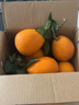 逮果重庆奉节脐橙纽荷尔春橙福本特级大果礼盒装时令新鲜孕妇水果橙子 净重4.5斤果王/80mm+/约7-9个 实拍图