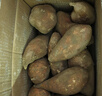 亨泰丰源（HENGTAIFENGYUAN）新鲜红薯 蜜薯鲜挖现发 沙地地瓜 红苕新鲜蔬菜流油地瓜 9斤新鲜蜜薯 实拍图