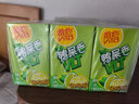 维他奶维他鸭屎香柠檬茶250ml*24盒 家庭聚会分享装 囤货必备 整箱装 实拍图