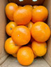 黄六爷正宗广西沃柑10斤新鲜橘子水果武砂糖皇帝橘柑桔子鸣当季整箱沃柑 3斤 小果【新鲜超甜现摘】 实拍图