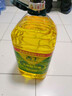 西王 食用油 玉米胚芽油6.18L 非转基因物理压榨 热门商品 实拍图