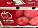 京鲜生 烟台红富士苹果 净重10斤  单果160g以上 水果礼盒 实拍图