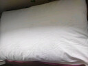水星家纺枕头枕芯酒店枕头护颈枕头芯家用单个纯棉抗菌可水洗高枕48x74cm 实拍图