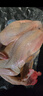 温氏 供港黄油鸡2.4斤 冷冻 农家土鸡母鸡走地鸡 慢养110天以上 实拍图