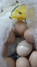 苏北草鸡蛋60枚破损包赔农家散养土鸡蛋早餐溏心蛋买菜京东包邮 苏北草鸡蛋60枚3kg破损包赔 实拍图