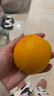 京鲜生 爱媛果冻橙 10斤装 单果150g起 生鲜水果桔子礼盒 实拍图