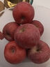 佳农【25年新果】烟台红富士 5斤 8-12粒 单果200g+ 源头直发 实拍图
