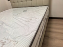 海马亦言床垫 席梦思天然乳胶椰棕独立弹簧五星级十大酒店双面加厚品牌 定制尺寸请联系 1.8x2.0米 实拍图