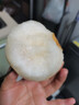梓颐山东莱阳秋月梨新鲜当季冰糖甜雪梨蜜梨子千玥膏梨水果中秋送礼盒 5斤精挑商超级7-12枚 净重4.5斤 实拍图