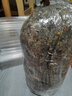 花翁盆栽室内花卉绿植仙人掌多肉植物大号芦荟（细纹陶瓷盆）源头直发 实拍图
