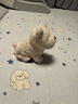 babycare&bct儿童毛绒玩具狗电子哈基米宠物玩偶节日生日七夕礼物西高地犬 实拍图