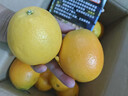 京鲜生 江西赣南脐橙 净重8斤装 单果200g+ 生鲜水果 源头直发包邮 实拍图