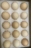 1号会员店可生食鸡蛋30枚净重3.6斤精选大码蛋礼盒装 源头直发 实拍图