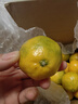京鲜生 东江湖蜜橘 5斤 单果50g起 橘子/桔子  生鲜水果礼盒 实拍图