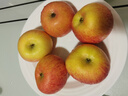 京鲜生 新疆阿克苏冰糖心苹果 净重9斤 果径75mm 新鲜水果 实拍图
