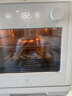 米家小米电烤箱空气炸蒸烤箱一体机 全自动烘焙烘烤解冻发酵多功能 免翻面 烧烤红薯鸡翅神器 台式20L 实拍图