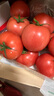 京鲜生 山东普罗旺斯沙瓤西红柿 净重3斤 单果90g起 沙瓢番茄 源头直发 实拍图