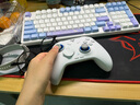 飞智冰原狼4多模版无线游戏手柄 类xbox 力调节摇杆双切扳机 switch电脑PC手机steam体感NS 丝之歌 实拍图