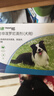 福来恩（FRONTLINE）狗狗进口驱虫药 中型犬去跳蚤蜱虫滴剂 1.34ml*3支装 实拍图