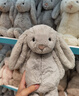 Jellycat害羞米色邦尼兔动物毛绒玩偶安抚公仔娃娃圣诞节生日礼物 米色 Large 实拍图