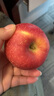遇见悯农正宗天水花牛苹果甘肃面苹果应季新鲜水果蛇粉面果刮泥生鲜整箱包 甘肃天水花牛苹果（含箱5斤） 超值中果70mm起 晒单实拍图