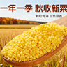 十月稻田 黄小米 5斤 可溯源 五谷杂粮 粥米 早餐小米粥 2.5kg 实拍图