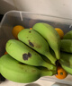 高山香蕉广西产地直发薄皮青果软糯香甜自然熟当季新鲜采摘纯天然 高山香蕉3斤 实拍图