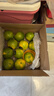 京觅福建青皮爆汁葡萄柚 单果300g起8.5斤装 约10-14个  送榨汁器 实拍图