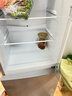 志高（CHIGO）双门冰箱家用小型一级能效办公室出租房宿舍用双开门中型二门电冰箱节能省电 一级能效-搁架款218L【冷藏四层 冷冻二层】 实拍图