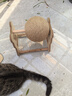 HELLOJOY逗猫咪玩具自嗨解闷猫抓板幼猫爪板小猫抓球耐抓不掉屑耐磨猫爬架 实拍图