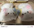 COSMICKISShellokitty手套冬季女可爱保暖猫猫手套毛绒翻盖半指加厚骑行手套 猫咪手套 实拍图