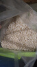 天地粮人甄制胚芽米10斤 东北大米10斤当季新米保留胚芽粳米 实拍图