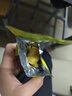 油栗仁甘栗仁即食板栗独立包装真空栗子坚果炒独立包装约18~25g 板栗仁 5包 实拍图