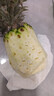 正宗海南金钻凤梨新鲜水果当季树上熟芒果凤梨【催熟食用】 大果1.8斤起2-3个净重4.5斤 实拍图