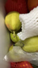 京鲜生 新疆库尔勒香梨 净重5斤 一级 单果100g-120g  生鲜水果 实拍图