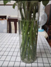 吕姆克玻璃花瓶水养插花瓶水培富贵竹客厅花瓶摆件透明直筒款25cm5517 实拍图