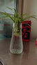 玻璃花瓶透明植物插花瓶水培容器大花瓶装饰客厅摆件 透明水波纹20*6*9 1个装 实拍图