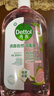 滴露（Dettol）香氛自然衣物消毒液杀菌48H留香洗衣除汗臭儿童玩具消毒水1L*4 实拍图