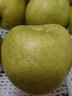 京地达梨砀山翠玉梨香梨梨子新鲜水果净重4.8斤单果250g+源头直发包邮 实拍图
