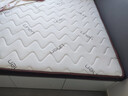 禾屋纪椰棕床垫硬棕垫1.8*2米宿舍托腰棕榈床垫家用榻榻米天然乳胶床垫 12CM/3D透气=8cm椰棕+2cm乳胶 折 1800mm*2000mm 实拍图